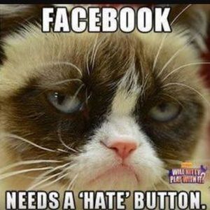 Meet your Posher, Victoria